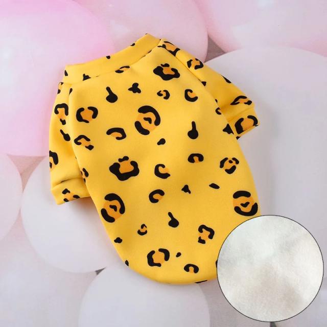 Roupas Aconchegantes de Inverno para Cães Pequenos: Moletom para Buldogue Francês e Capuz para Yorkshire