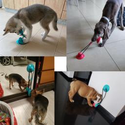 Brinquedos do cão silicone ventosa tug brinquedo interativo bola de cachorro para mastigar mordida de estimação dente limpeza escova de dentes alimentação pet supplies - Image 3