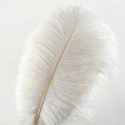 Atacado elegante branco penas de avestruz para artesanato 15-75cm fontes de festa de casamento carnaval dançarino decoração plumas plumages - Image 1