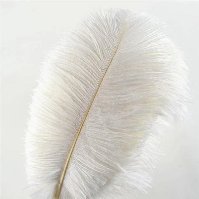 Elegantes Penas de Avestruz Brancas para Artesanato - Decoração de Festas, Casamentos e Carnaval (15-75cm)