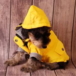 Impermeável Impermeável para Animais de Estimação, Casaco Quente, Roupa do Bulldog Francês, Casaco Big Dog à Prova de Vento, Roupas Chihuahua, Inverno - Image 6