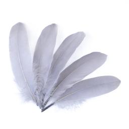 10/50/100 peças penas de ganso naturais tingidas várias penas para artesanato joias de casamento acessórios de festa 15-20cm/6-8 polegadas - Image 4