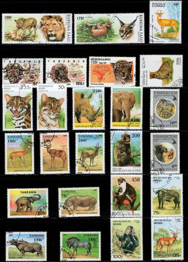 Coleção Exclusiva de Selos de Animais Selvagens Africanos - 50 Peças Únicas de Diversos Países sem Repetição
