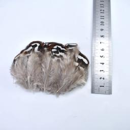 Penas de feisão avestruz naturais para artesanato, DIY pavão penas para fazer jóias, decoração para festa, atacado - Image 4