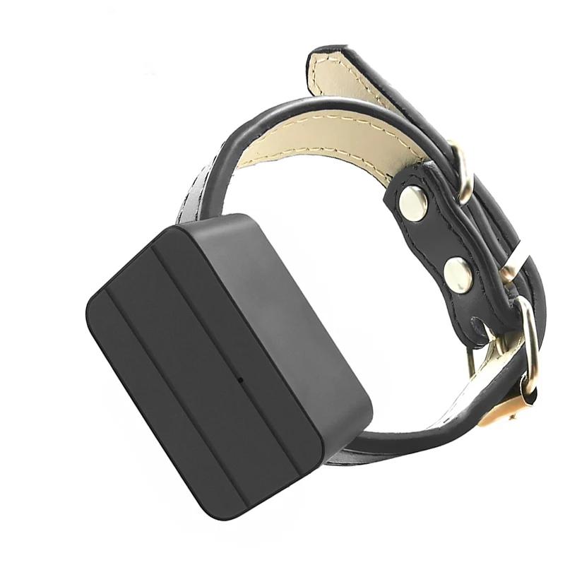 Mini GPS Tracker para cães e gatos, Pet Locator, Anti-Lost Tracking, Voice Monitor, Cerca Elétrica, Chamada SMS, Alarme de Chamada, Aplicativo gratuito do site, 2G - Image 1