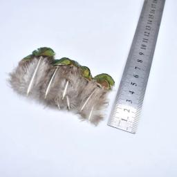 Penas de feisão avestruz naturais para artesanato, DIY pavão penas para fazer jóias, decoração para festa, atacado - Image 3