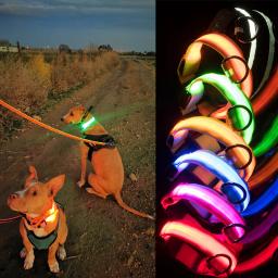 Coleira de segurança com carregador usb, com led, luminoso, para cães, animais de estimação, de nylon brilhante, para noite e segurança - Image 2