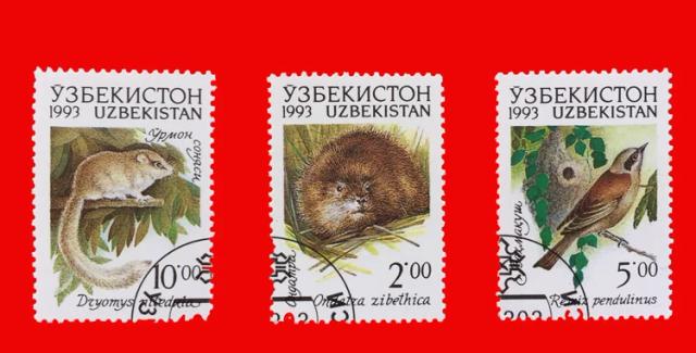 Conjunto de 3 Selos Postais do Uzbequistão com Animais Selvagens: Esquilos e Aves para Colecionadores