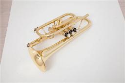 Trompete de metal com estojo e bocal de alta qualidade, dourado, bb, para trompete, instrumentos musicais - Image 2
