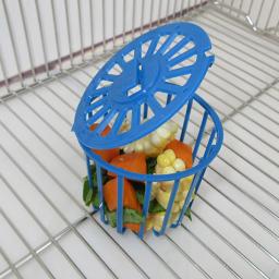 Gaiola alimentadora multiuso para animais de estimação, cesta criativa de alimentação de frutas e vegetais para pendurar em gaiola, 2 peças - Image 4