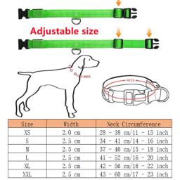 Coleiras Luminosas LED para Animais de Estimação, Carregamento USB, Recarregável, Pingente, Flash, Luz Noturna, Colar Cães de Segurança, Acessórios Pet - Image 6