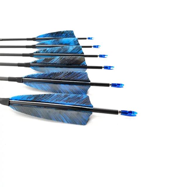 Flechas de Carbono para Tiro com Arco Longo: Ideal para Caça com Penas de Peru - Conjuntos de 12 Peças para Colunas 400 a 1000 ID 4.2