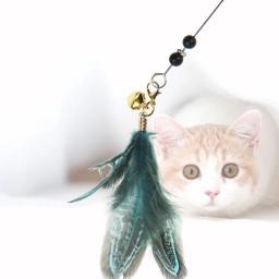 Varinha Teaser Gato com Sino Pena de Frango Brinquedo Treinamento Gatinho Brinquedo Interativo com Sino, Pet Supplies, 1Pc - Image 2