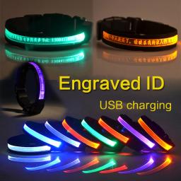Tag ID personalizado para animais de estimação, coleira, carregamento USB, LED, identificação gravada, personalizado, placa de identificação, acessórios de nylon, cachorro e gato - Image 1