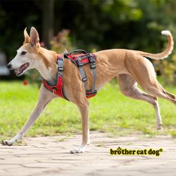 Coleira para cachorro de estimação, acessório de suprimentos para cães médios e grandes, ajustável, coleira reflexiva forte para uso externo - Image 3