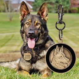 Etiqueta de identificação do cão do animal de estimação do metal personalizado tag de identificação do gato do filhote de cachorro personalizado tags de nome colar acessórios para cães colares pingentes - Image 4