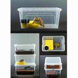 P/m/lplastic caixa de répteis, terrário transparente, recipiente de insetos, transporte de anfíbios, reprodução de comida, caixa de alimentação - Image 2