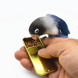 1 pc mini ferro pode alimentos frascos adequados para periquitos cockatiels conures periquitos lovebirds e outros pequenos/médios pássaro treinamento - Image 4
