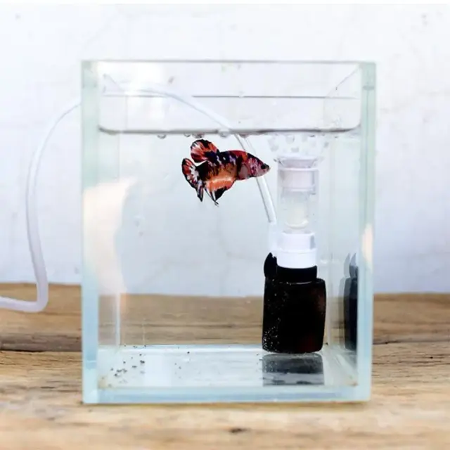 Mini bomba pneumática silenciosa de oxigênio para aquários e tanques de peixes