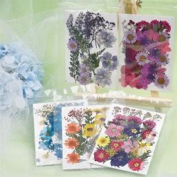Resina UV Flores Secas, Adesivos de Flores Naturais, Decalque de Beleza Seca para Epóxi DIY, Enchimento Decoração Jóias, 1 Pacote - Image 2
