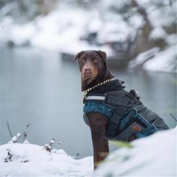 Jaqueta de camuflagem para cachorro, casaco para animais de estimação ao ar livre, à prova d'água, à prova de vento, selva, caça, roupas de acampamento, roupa de uso externo para cachorros pequenos e grandes (argolas) - Image 2