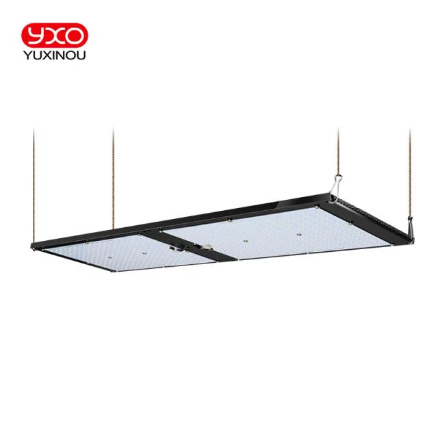 Placa LED Sam-ng Tech para Cultivo HIDROPÔNICO: Iluminação Veg e Bloom com LM301H, 120W e 240W para Tendas de Plantas e Growbox
