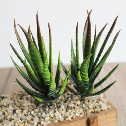 Plantas Suculentas Artificiais, Aloe Zebrina Plant, Arranjo De Flores Falsas, Decoração De Jardim, Paisagem, 7x10cm - Image 1