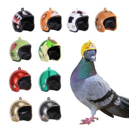 Papagaio Capacete para Pet Chapéu Papagaio Engrenagem Protetora De Pássaro, Protetor Solar, Capacete De Chuva, Pequenos Pet Supplies, Acessórios de Vestuário - Image 1