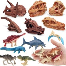 Crianças dinossauro crânio modelo jurássico fóssil crianças figuras de ação animais brinquedo simulação mini dinossauro conjunto educação brinquedos para menino - Image 1