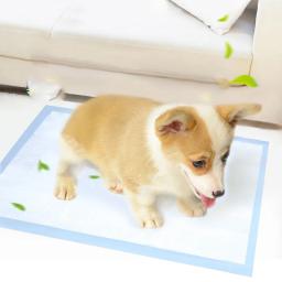 10 pcs Almofadas de Fraldas Cão Super Absorvente Descartável - Image 3