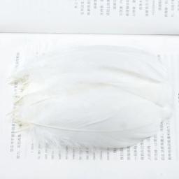 Penas naturais de ganso para artesanato, fabricação de jóias de 13-18cm, para festa de natal, decoração caseira faça você mesmo - Image 4