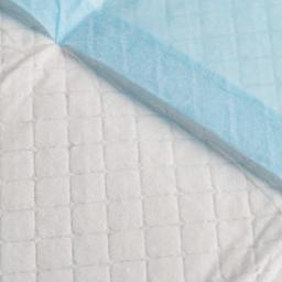 Fralda descartável super absorvente para animais, Dog Training Pee Pads, Tapete de fralda saudável para gatos, Fraldas para cães pequenos, Pet Shop - Image 5