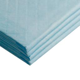 Fralda descartável super absorvente para animais, Dog Training Pee Pads, Tapete de fralda saudável para gatos, Fraldas para cães pequenos, Pet Shop - Image 4
