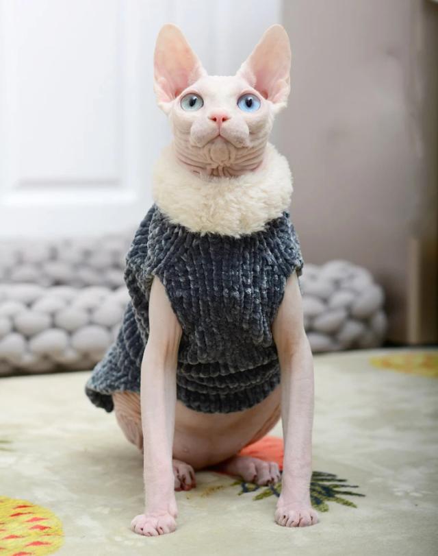 Roupas de Inverno Artesanais para Gatos: Suéteres de Malha Macia e Pulôveres com Capuz para Gatinhos Sphynx