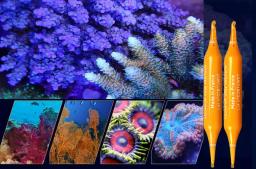 Prodibio Reef Booster Suplemento Nutriente Para Aquário Corais Tanques Marinhos Água Doce Chihiros Marino Aquario Peixes Comida - Image 3