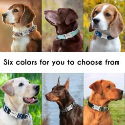Coleiras de identificação personalizadas do gato do filhote de cachorro da etiqueta do cão do animal de estimação do colar do cão - Image 5
