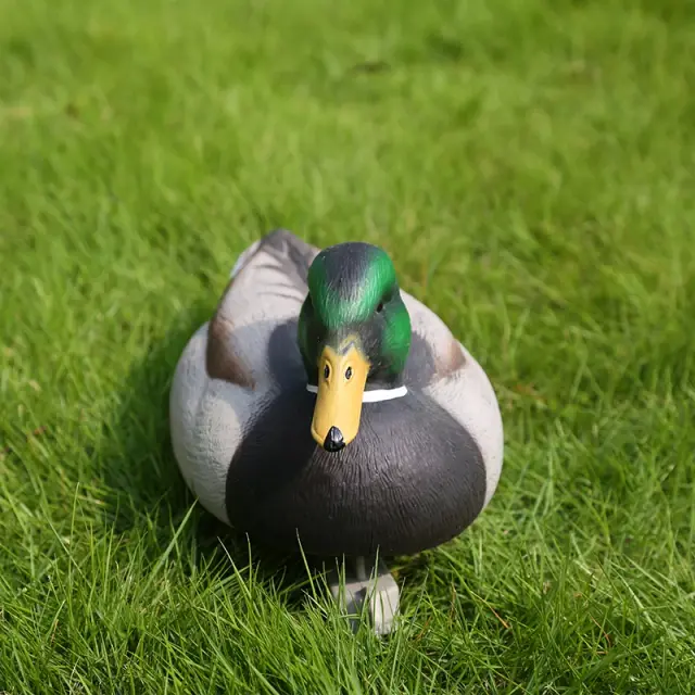 Decoy Plástico para Pesca e Caça com Quilha Flutuante Ponderada - Pacote com 2 Unidades