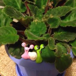 Mini Caracóis para Decoração Dollhouse, Micro Paisagem, Acessórios Bonsai, Enfeites De Jardim, Figurinha De Fadas, Brinquedos, Decoração De Fadas, 2PCs - Image 5