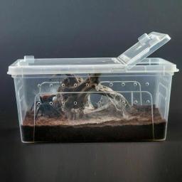 Grande caixa de répteis com tigela de alimentação, plástico transparente inseto terrário, animais de estimação, reprodução Food Feed Box - Image 1