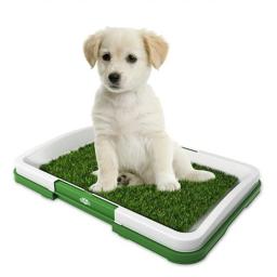 Toalete portátil de treinamento para cachorros interno para cachorros Simulação de penico para urinar no gramado Fácil de limpar Tapete de grama para animais de estimação Toalete plano - Image 1