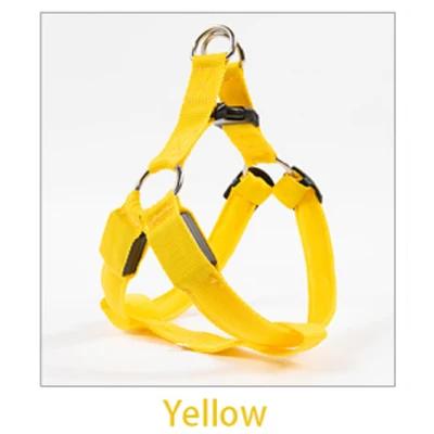 Nylon LED Arnês de Segurança para Animais de Estimação, Acessórios para Cães, Luz Piscando, Arnês, Corda Trela, Cinto, Colarinho, Pet Supplies - Image 1