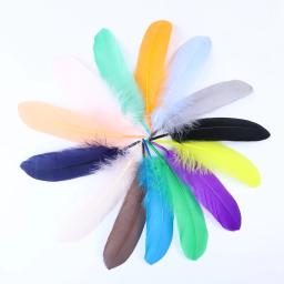 10/50/100 peças penas de ganso naturais tingidas várias penas para artesanato joias de casamento acessórios de festa 15-20cm/6-8 polegadas - Image 5