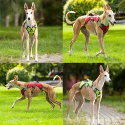 Coleira para cães, coleira forte para animais de estimação, ajustável, macia, para lojas de animais de estimação, produtos para pets - Image 4