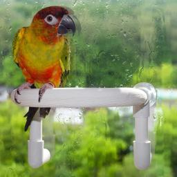 Papagaio chuveiro poleiro com ventosa pássaro cockatoo banho poleiro brinquedo - Image 2