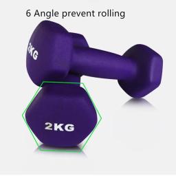 Haltere Hexagonal Fosco para Mulheres, Estudante e Criança, Aeróbica, Ginásio Crossfit, Exercício de Fitness, Treino, 1 Pc, 1,5 kg, 1kg - Image 2