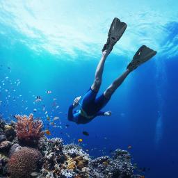 Profissional Snorkeling Pé Ajustável Nadadeiras De Natação, barbatanas De Mergulho, Equipamentos De Esportes Aquáticos, Portátil, Iniciante, Mergulho - Image 5