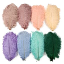 10 pçs/lote penas de avestruz coloridas branco preto pena de avestruz decoração peças centrais de mesa vasos decoração de festa de casamento de feriado - Image 1