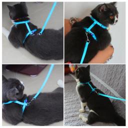Sino ajustável Collar Cat Pet Arnês E Trela de Nylon de Tração Animal de Estimação Cão Gatinho Halter Collar Gatos Produtos Para Gato de Estimação arnês - Image 6