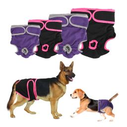 Calças fisiológicas para cães, shorts para cães fêmeas, produtos para animais, suprimentos para cães, pequeno tamanho médio, fralda para cachorros - Image 1