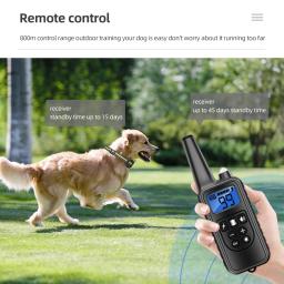 800m coleira de treinamento do cão animal estimação choque elétrico anti latido dispositivo controle remoto à prova dwaterproof água recarregável para todos os cães tamanho - Image 5